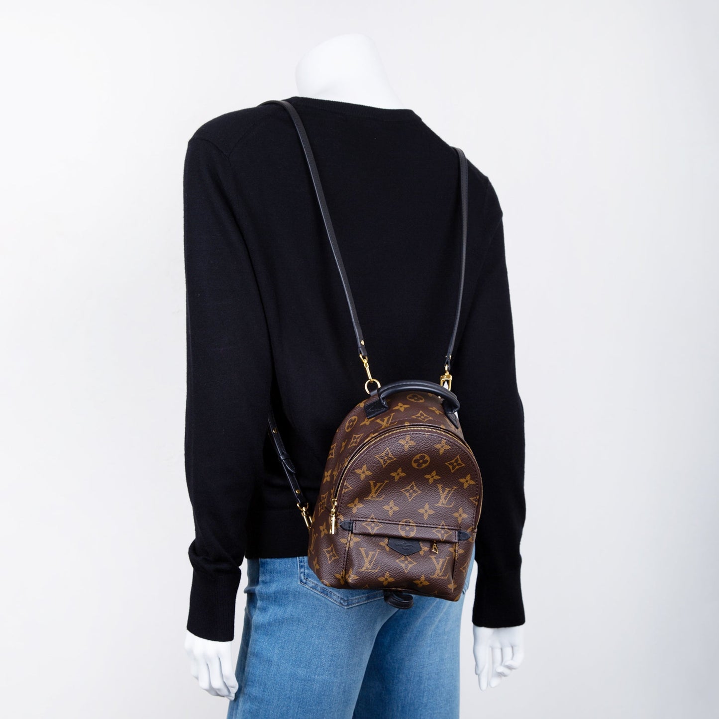 Louis Vuitton 2020 Monogram Palm Springs Mini Backpack