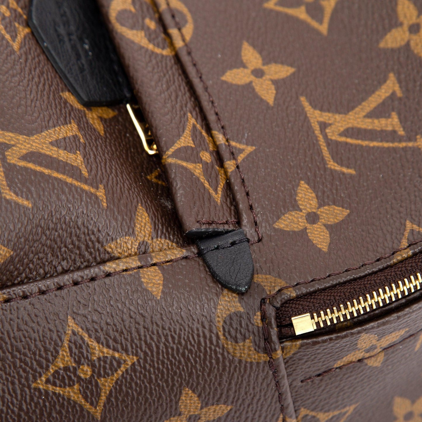 Louis Vuitton 2020 Monogram Palm Springs Mini Backpack