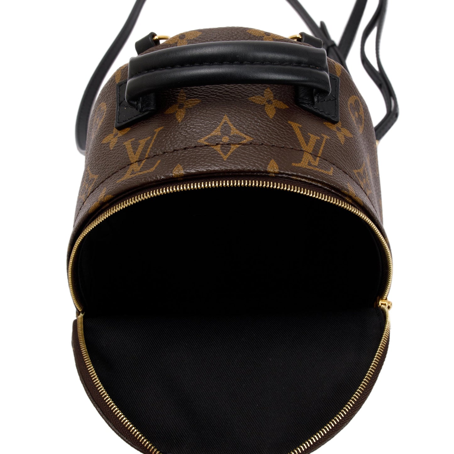 Louis Vuitton 2020 Monogram Palm Springs Mini Backpack