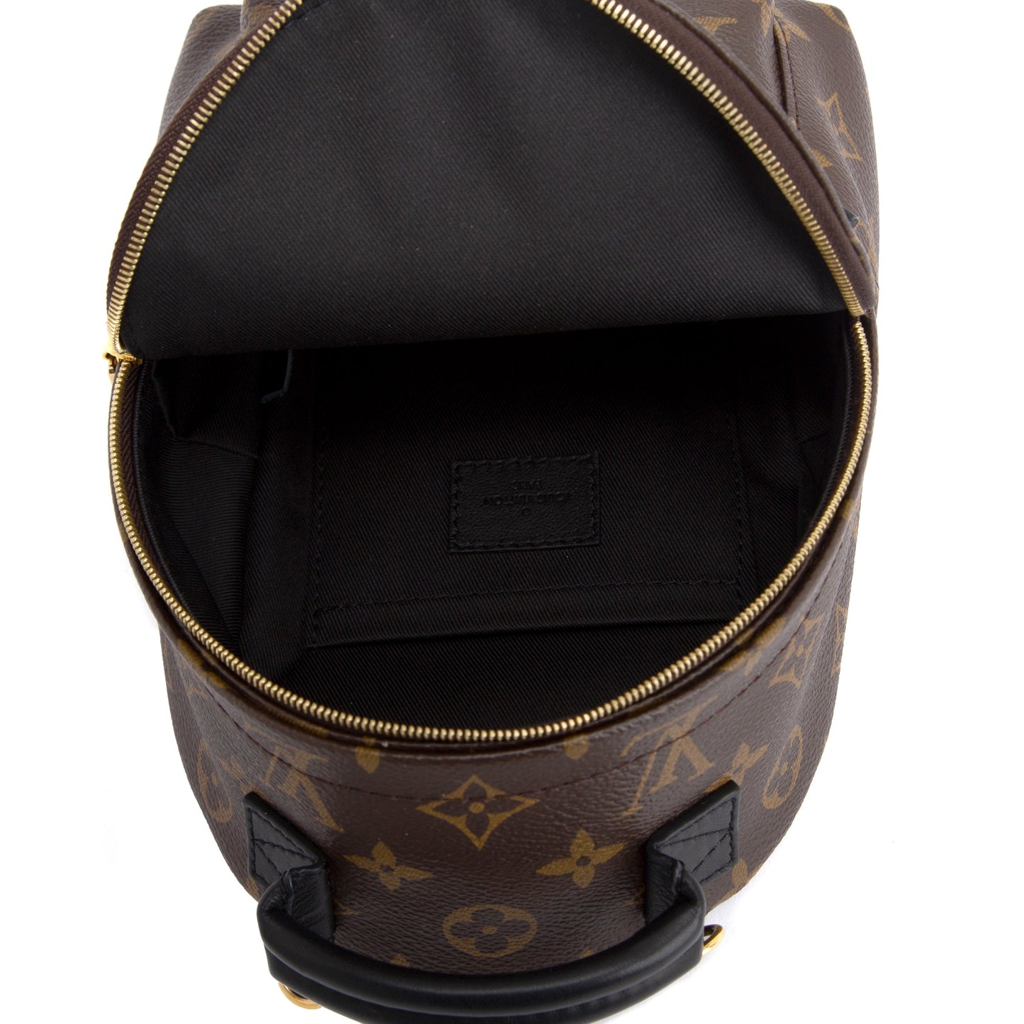 Louis Vuitton 2020 Monogram Palm Springs Mini Backpack