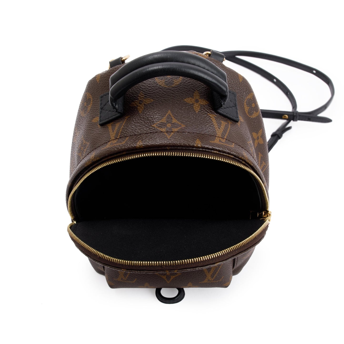 Louis Vuitton 2020 Monogram Palm Springs Mini Backpack