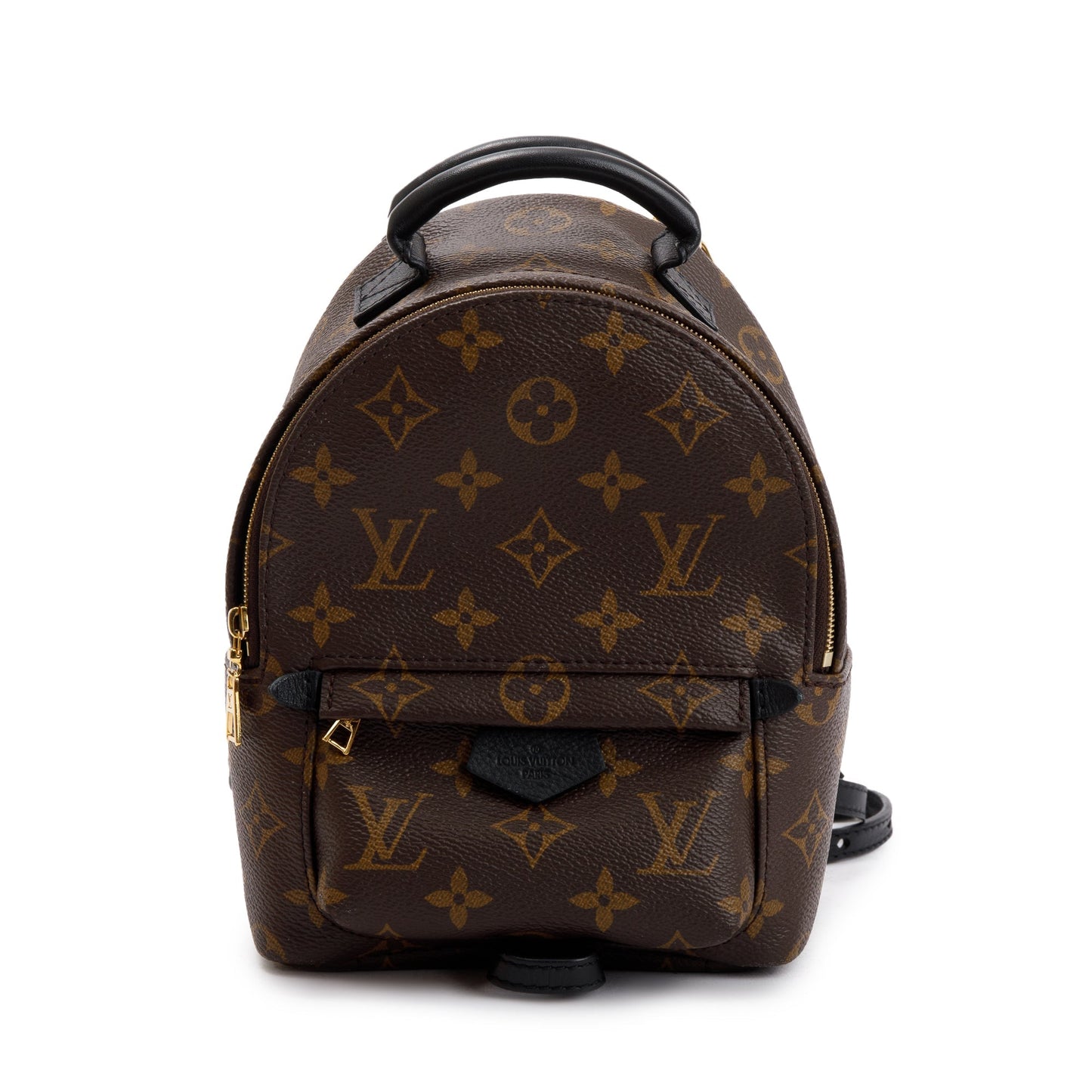 Louis Vuitton 2020 Monogram Palm Springs Mini Backpack