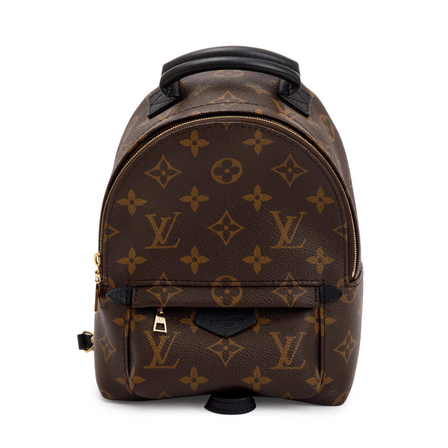 Louis Vuitton 2020 Monogram Palm Springs Mini Backpack