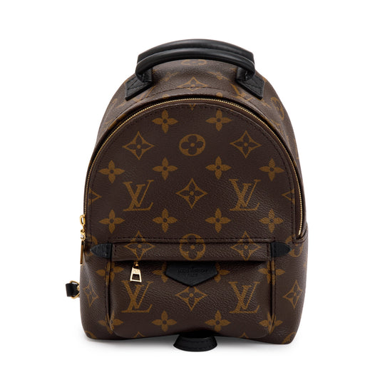 Louis Vuitton 2020 Monogram Palm Springs Mini Backpack