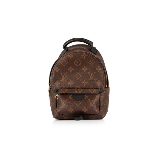 Louis Vuitton 2020 Monogram Palm Springs Mini Backpack