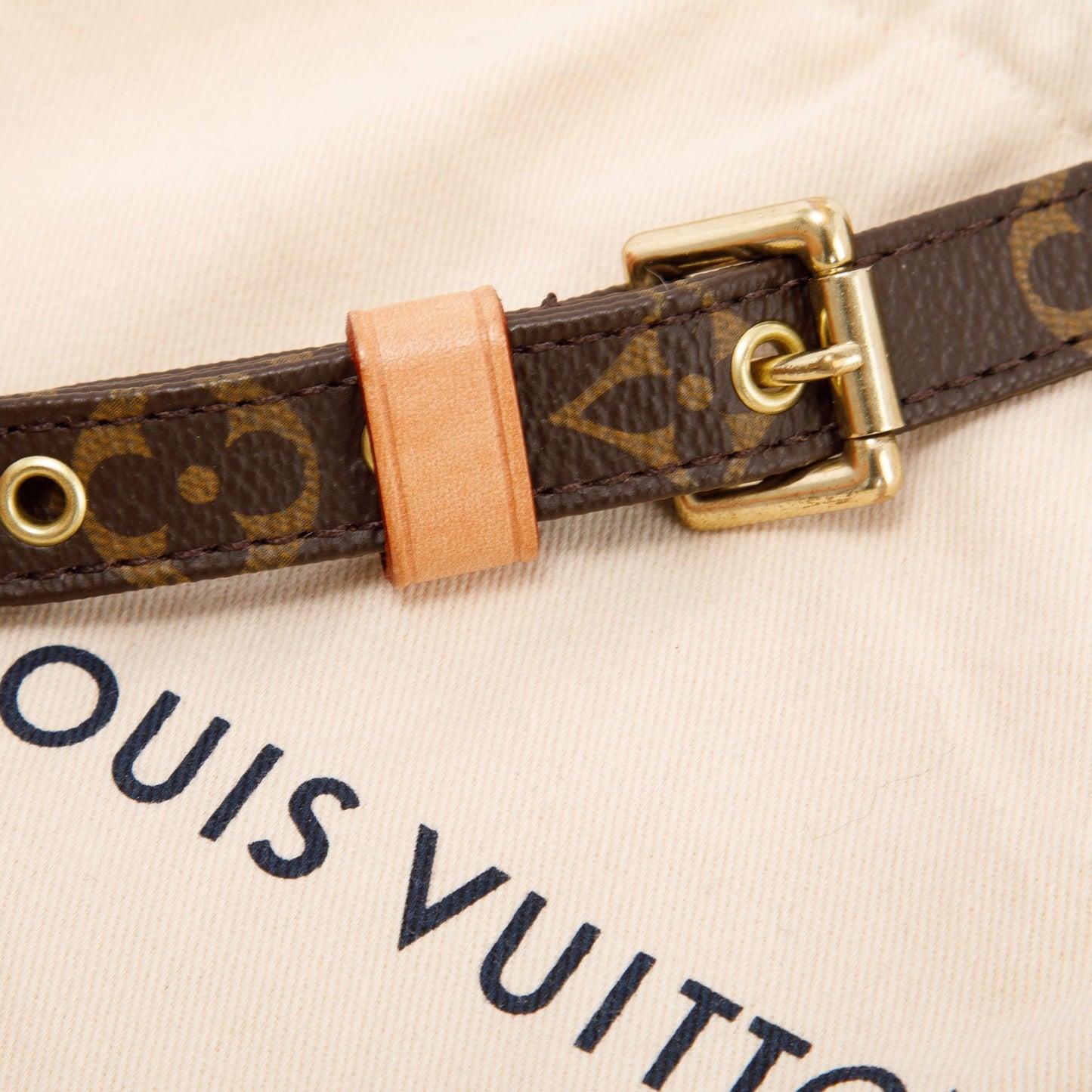 Louis Vuitton 2021 Monogram Bandouliere Shoulder Strap