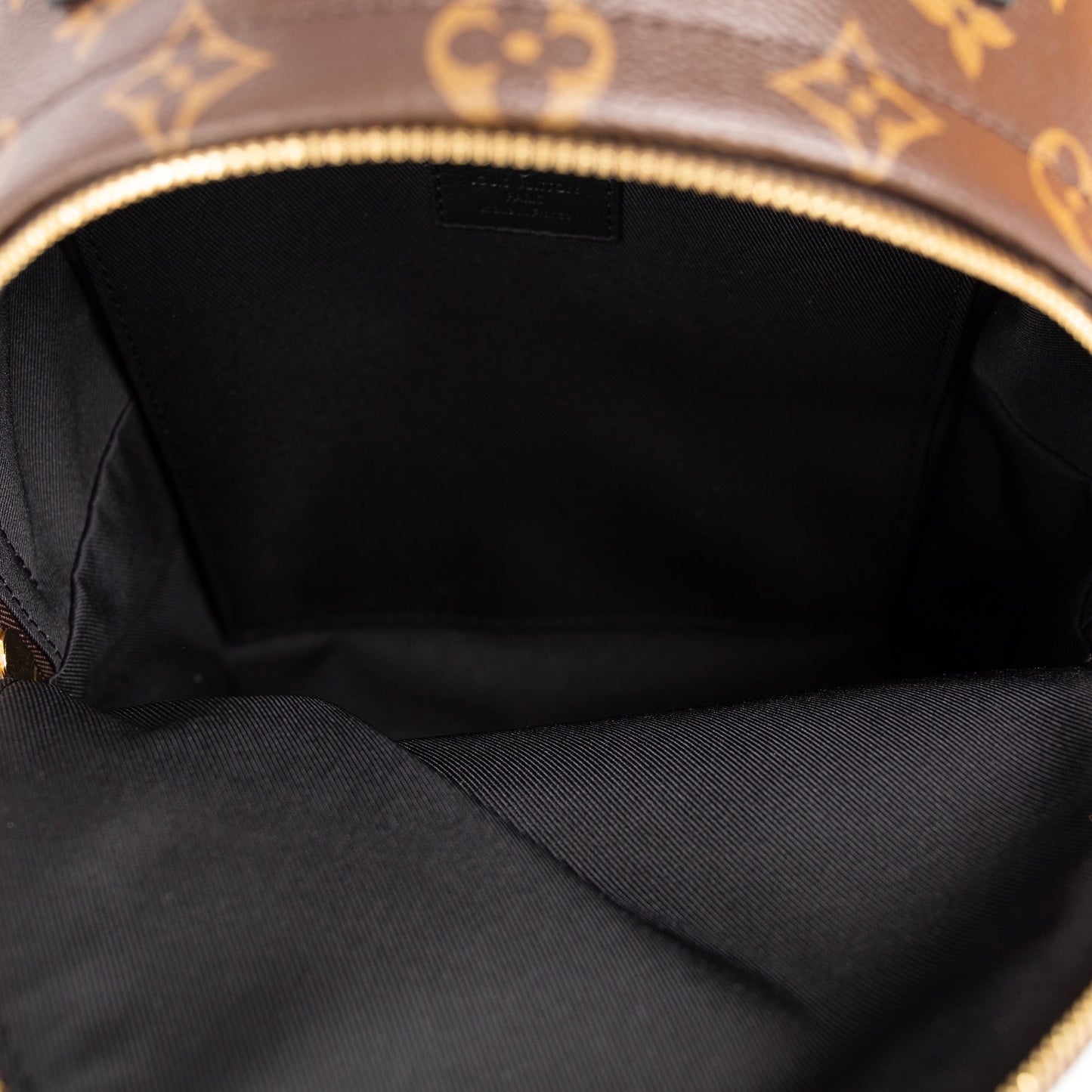 Louis Vuitton 2021 Monogram Palm Springs Backpack PM