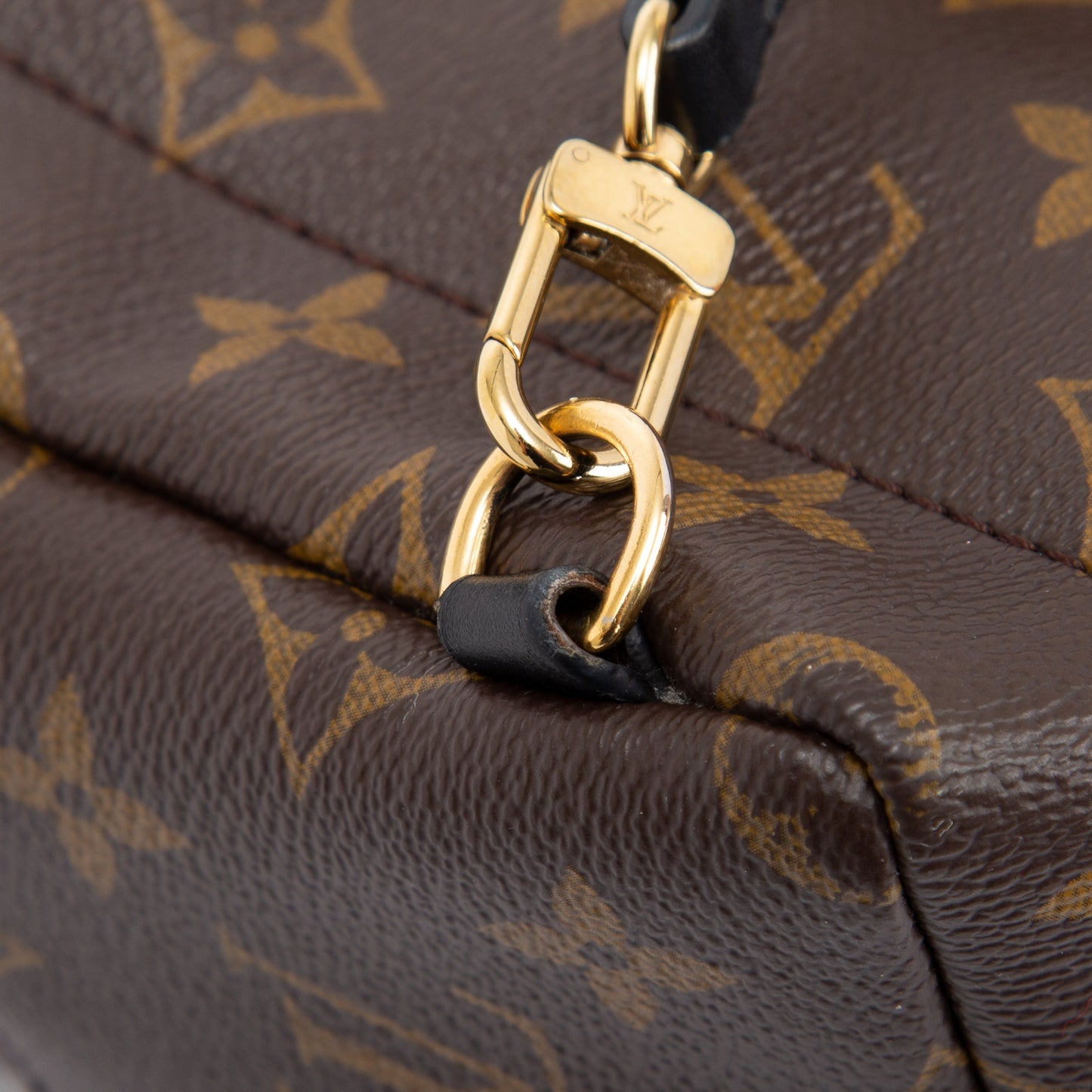Louis Vuitton 2021 Monogram Palm Springs Mini Backpack