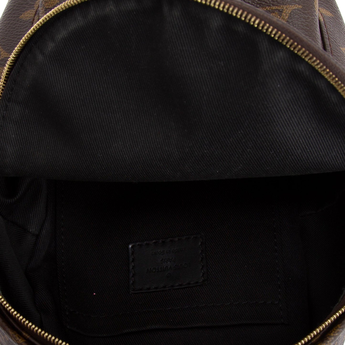 Louis Vuitton 2021 Monogram Palm Springs Mini Backpack