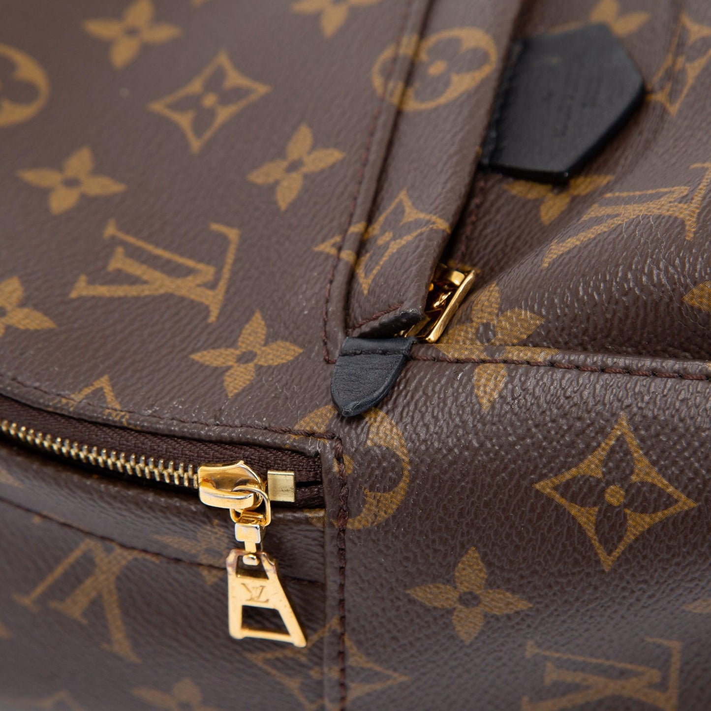Louis Vuitton 2021 Monogram Palm Springs Mini Backpack