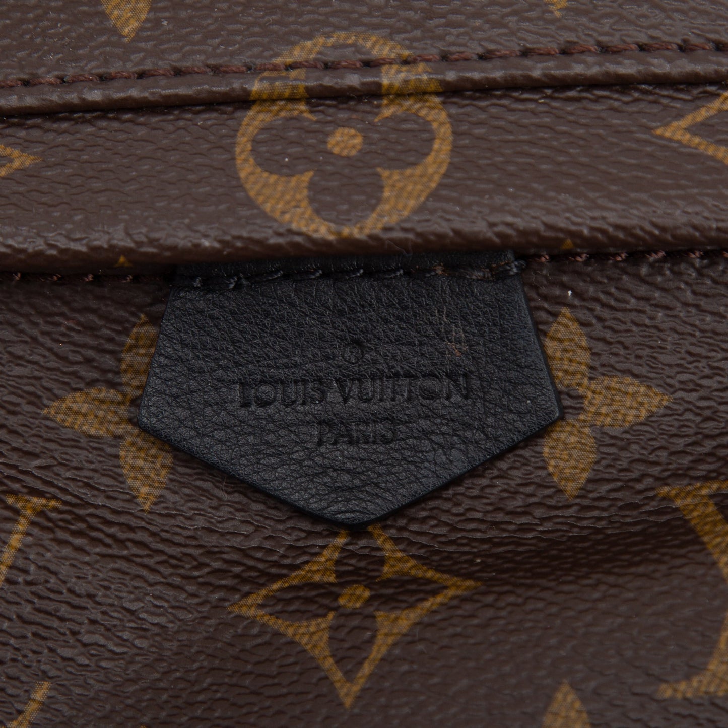 Louis Vuitton 2021 Monogram Palm Springs Mini Backpack