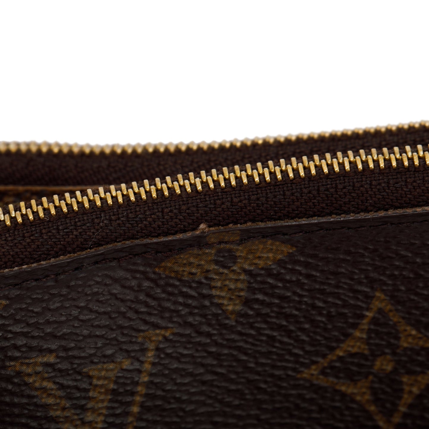 Louis Vuitton 2022 Monogram Double Zip Pochette