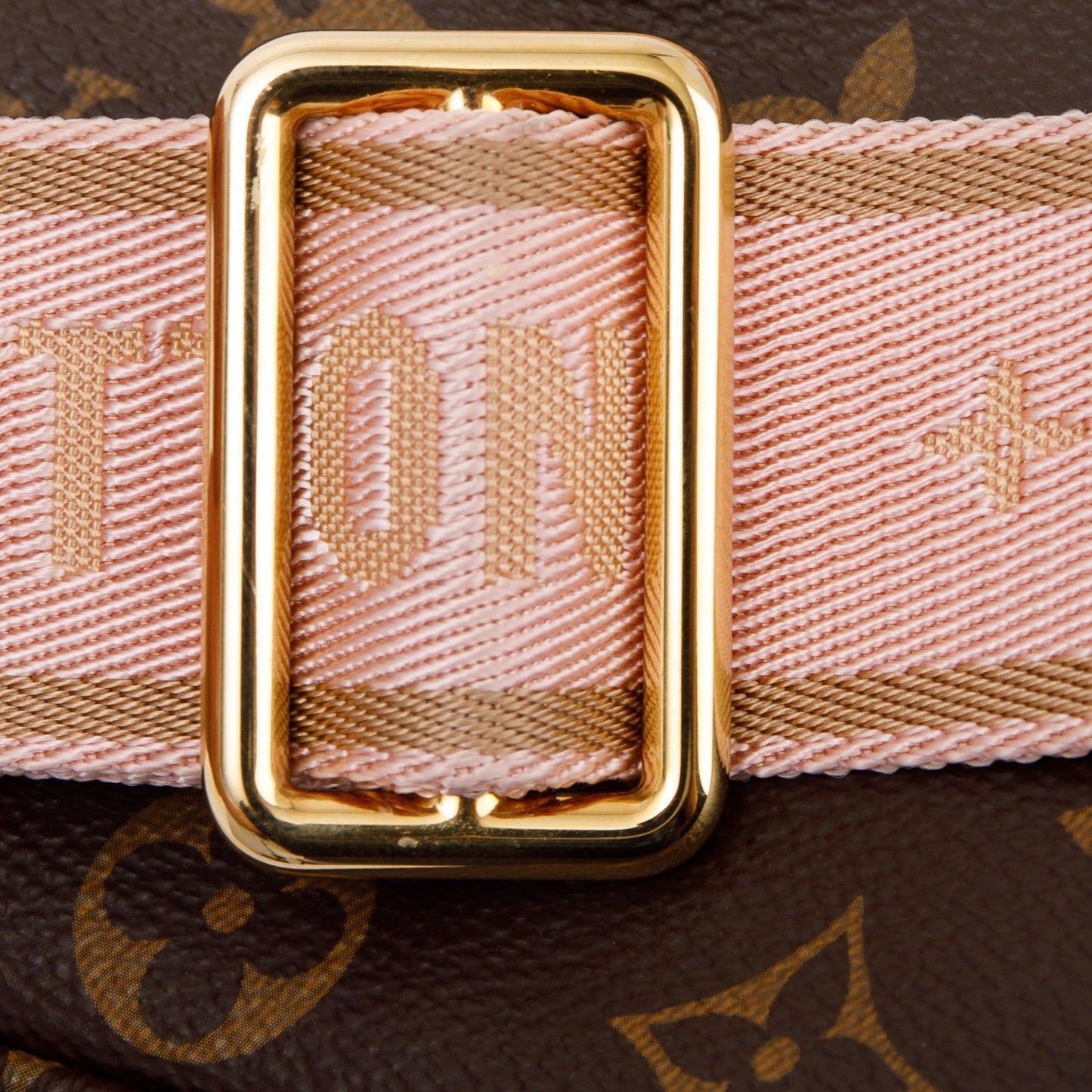 Louis Vuitton 2022 Monogram Multi-Pochette Accessoires