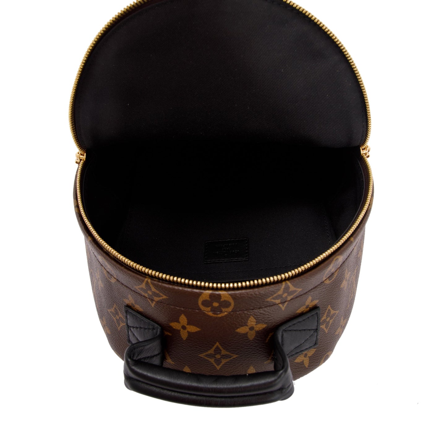 Louis Vuitton 2022 Monogram Palm Springs Backpack PM