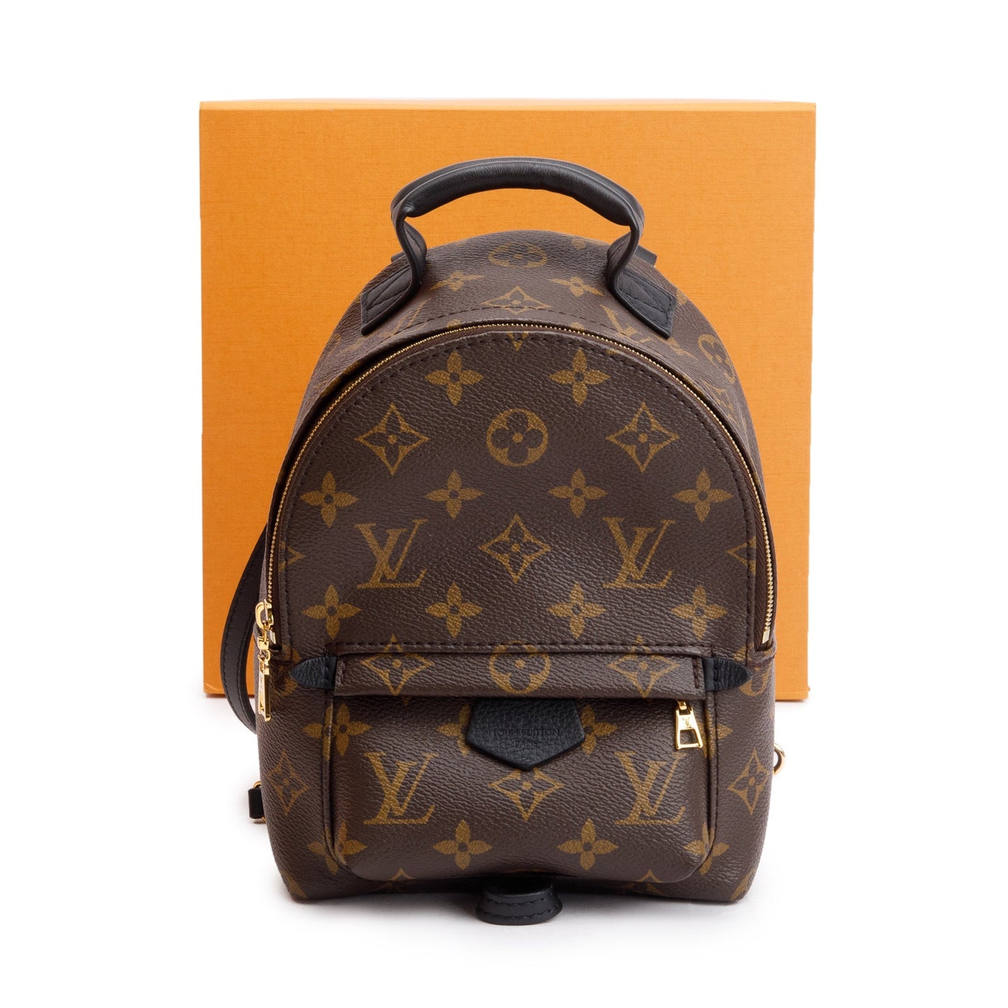 Louis Vuitton 2022 Monogram Palm Springs Mini Backpack