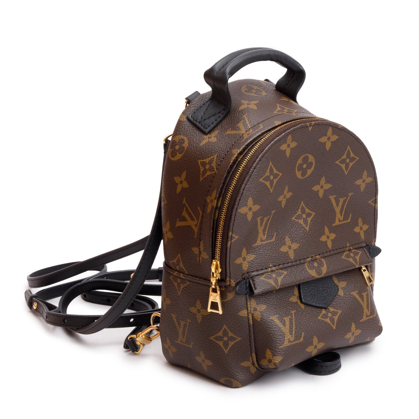 Louis Vuitton 2022 Monogram Palm Springs Mini Backpack