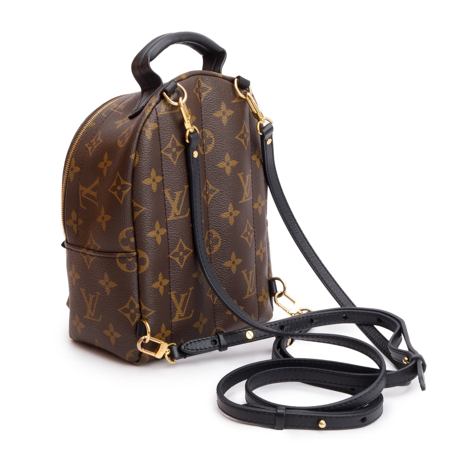 Louis Vuitton 2022 Monogram Palm Springs Mini Backpack