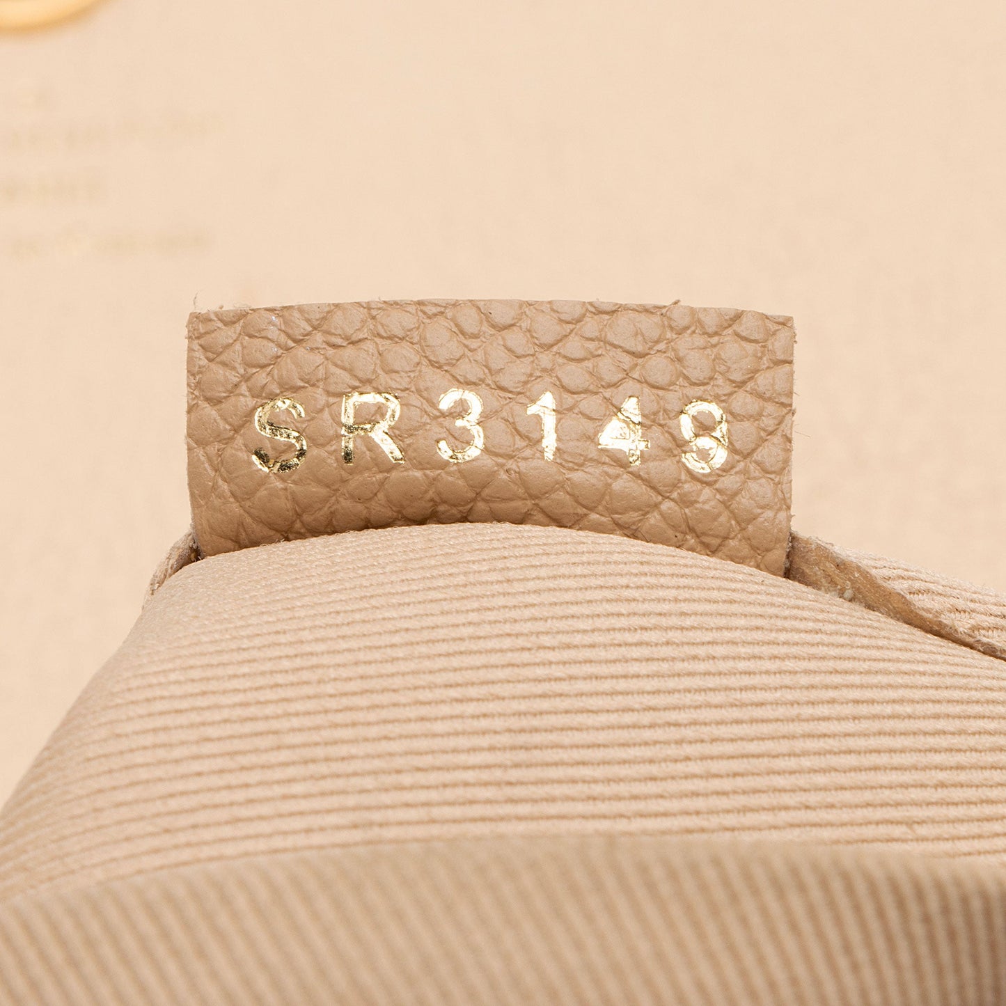 Louis Vuitton Damier Ebene Clapton Backpack