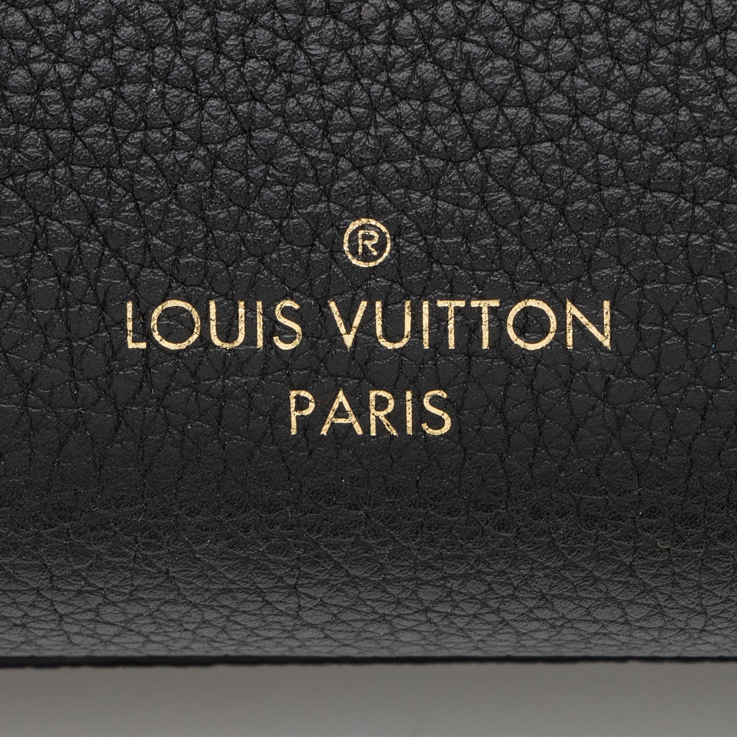 Louis Vuitton Grained Calfskin Lock & Go Tote