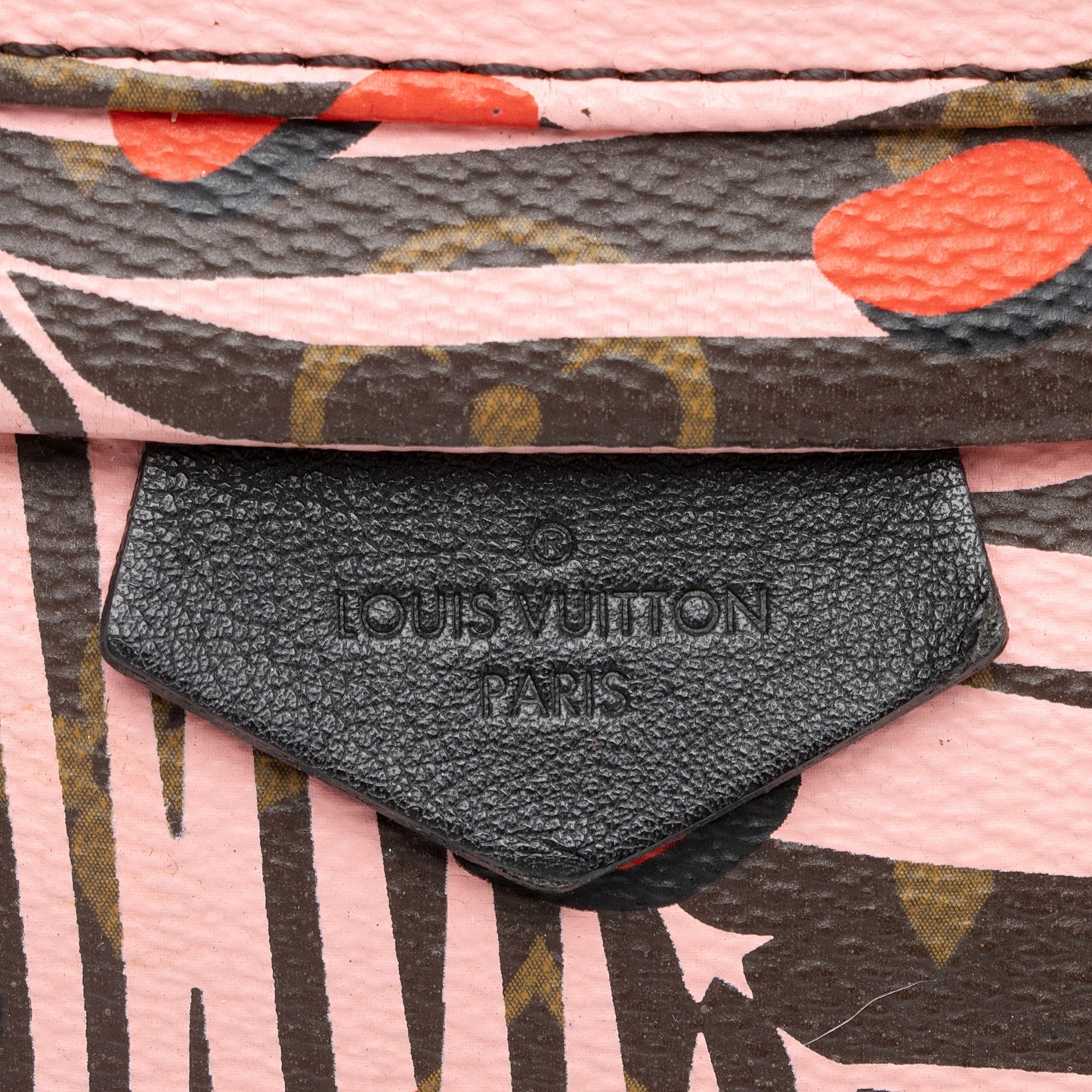Louis Vuitton Limited Edition Monogram Canvas Jungle Dots Palm Springs PM Backpack (SHF-Vg9fRZ)