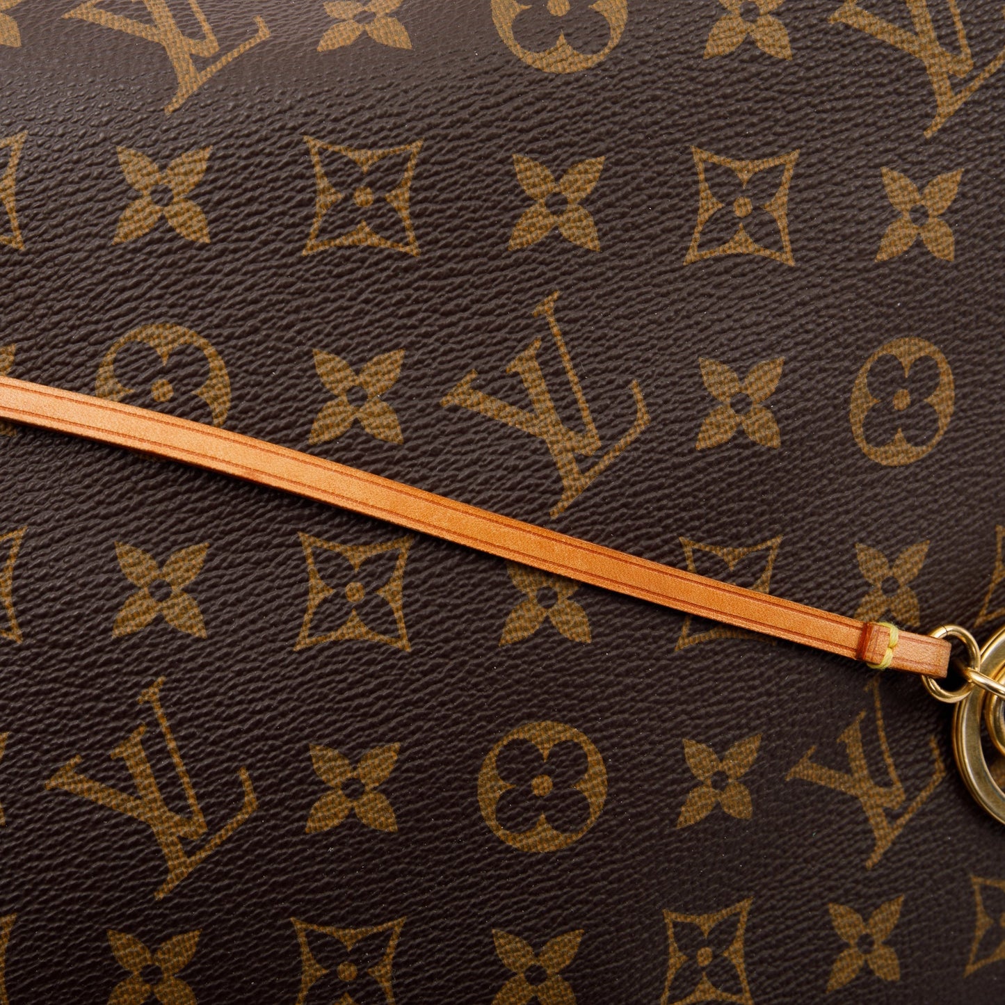 Louis Vuitton Monogram Artsy MM