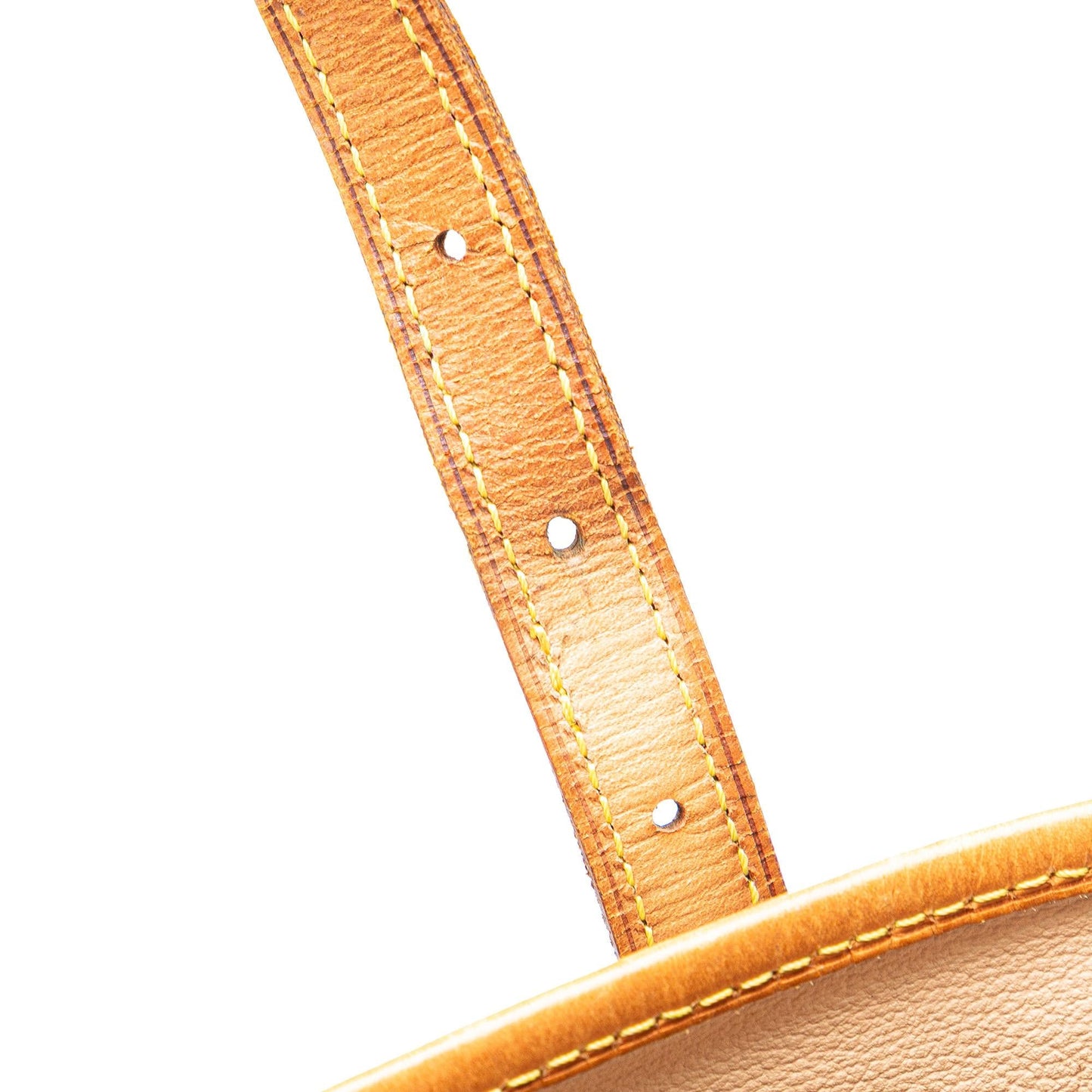 Louis Vuitton Monogram Bucket GM