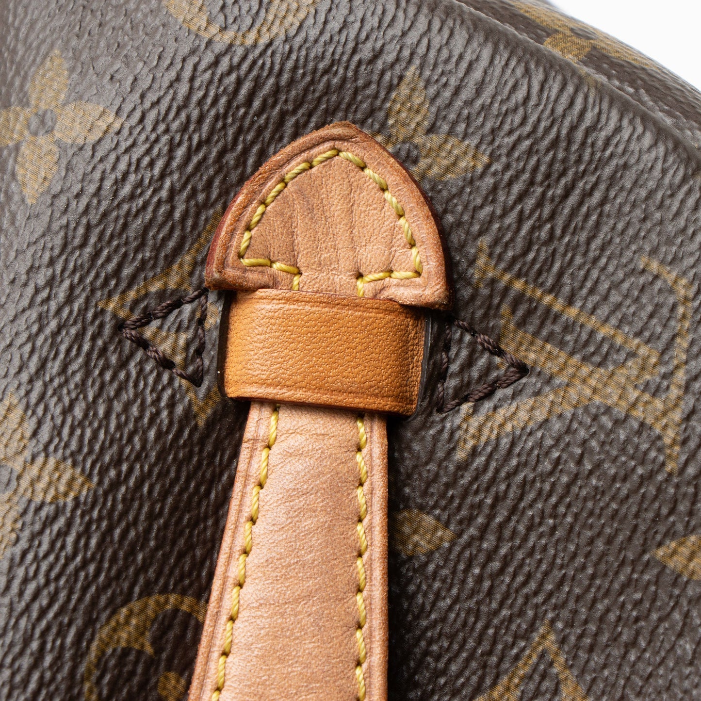 Louis Vuitton Monogram Canvas Bumbag