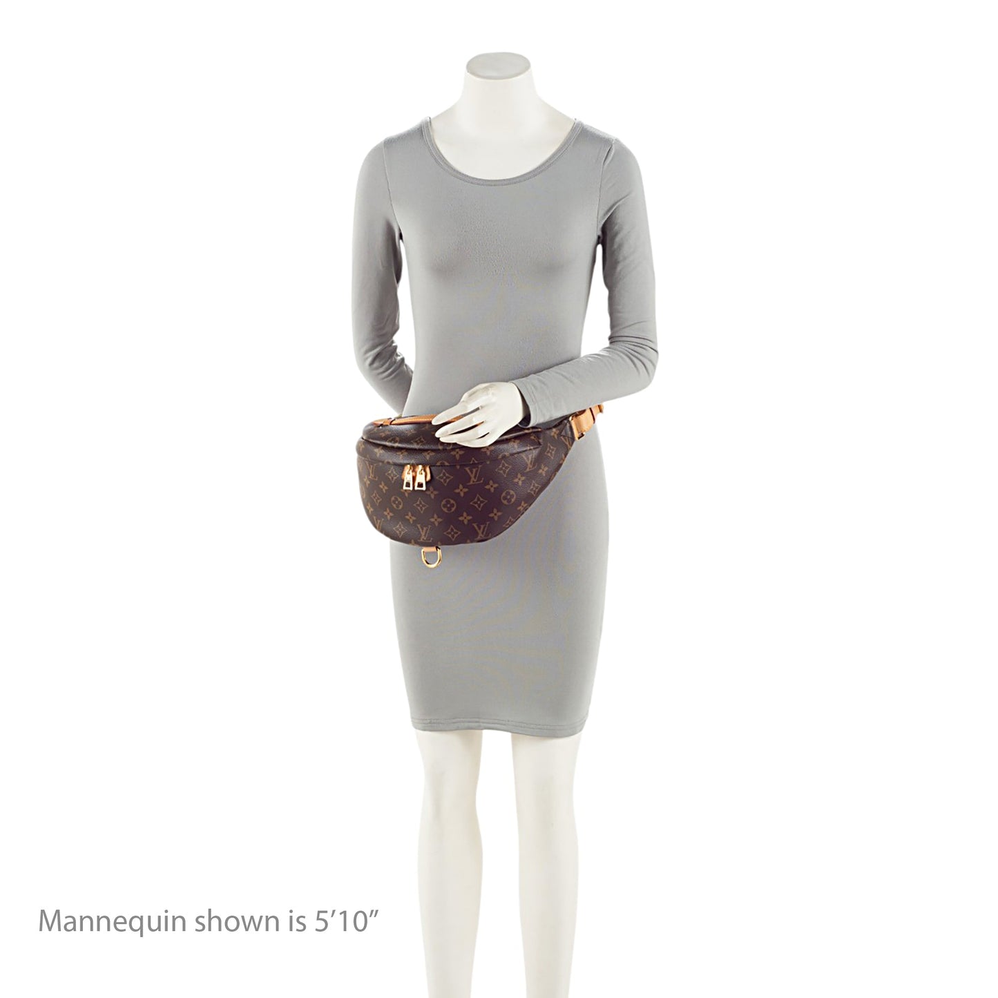 Louis Vuitton Monogram Canvas Bumbag