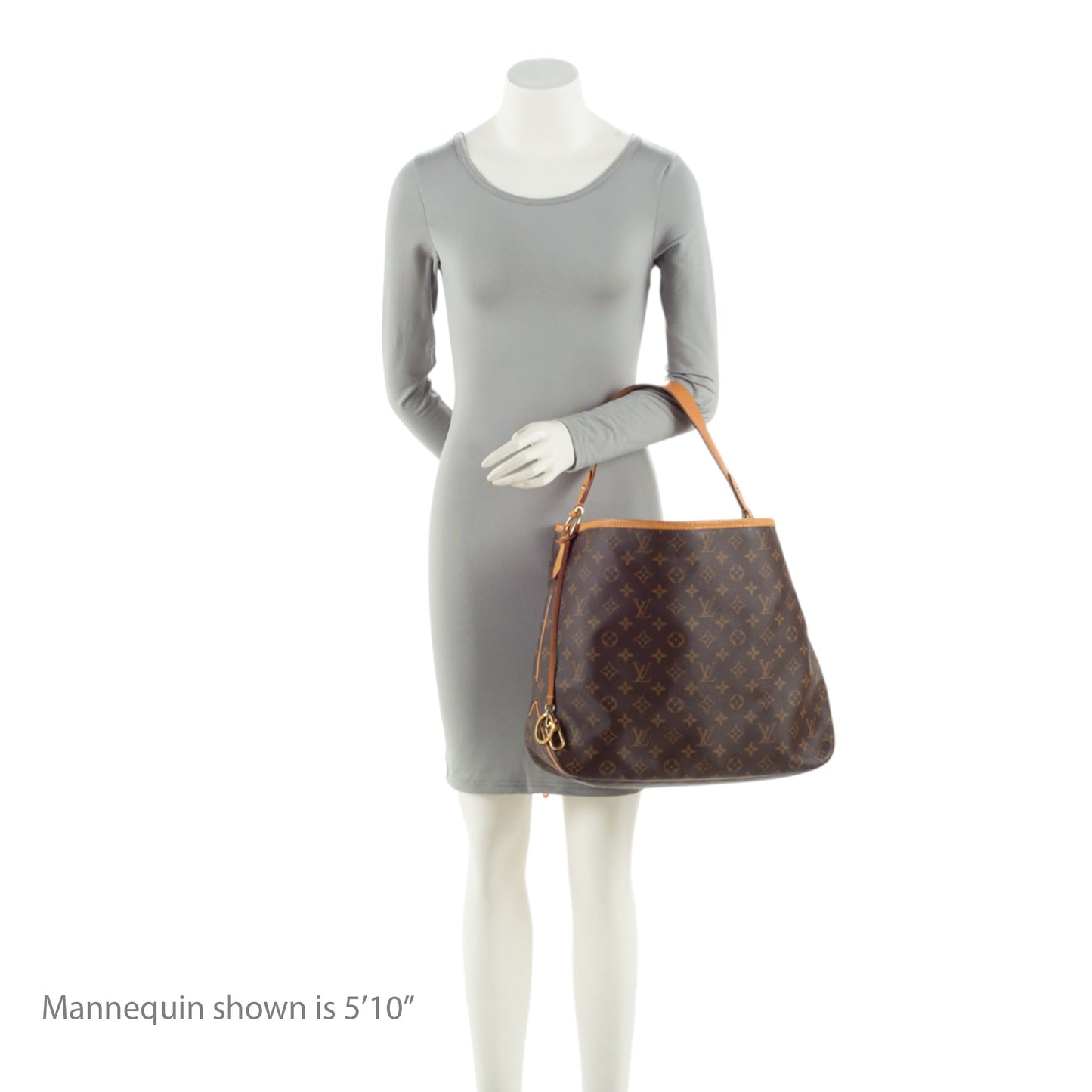 Louis Vuitton Monogram Canvas Delightful MM Shoulder Bag
