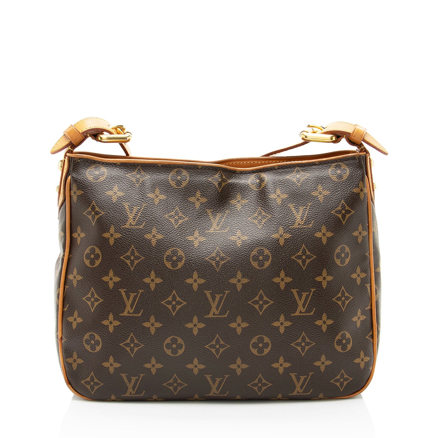 Louis Vuitton Monogram Canvas Hudson GM Shoulder Bag