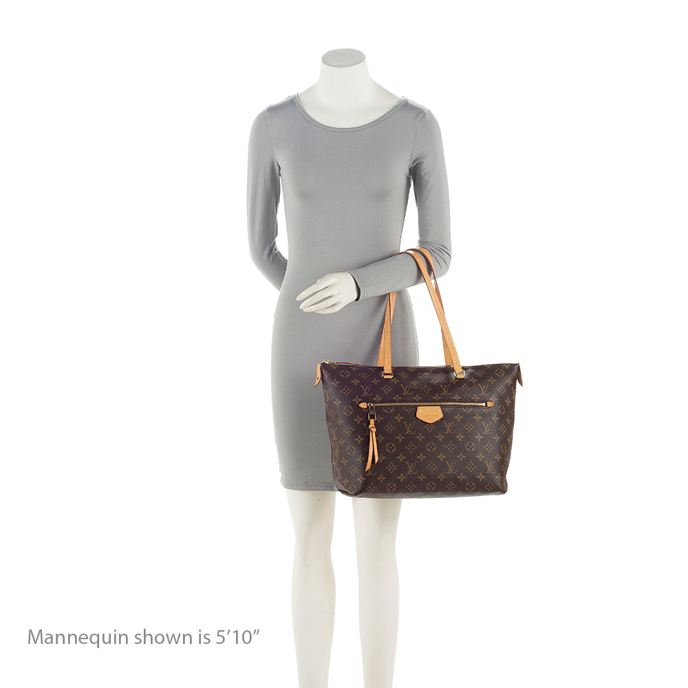 Louis Vuitton Monogram Canvas Iena MM Tote