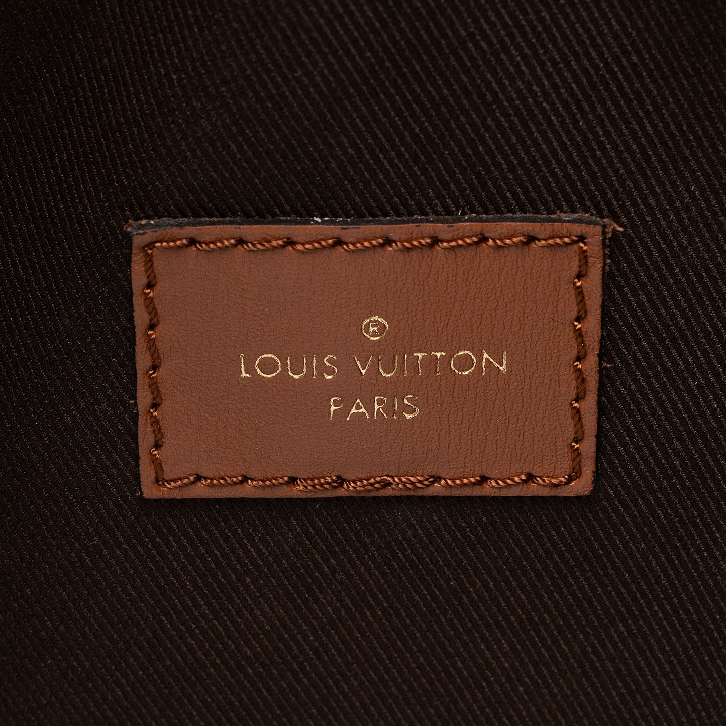 Louis Vuitton Monogram Canvas Loop Hobo