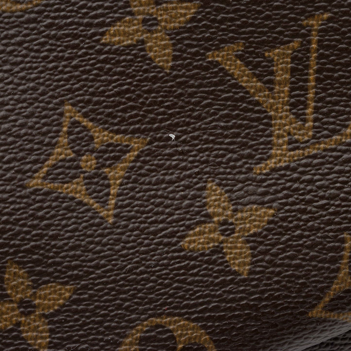 Louis Vuitton Monogram Canvas Multipli-cite Tote (SHF-PGxg2v)