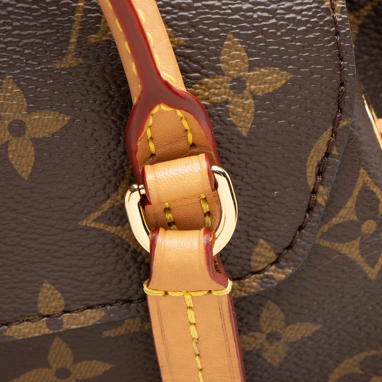 Louis Vuitton Monogram Canvas Neo Montsouris Backpack