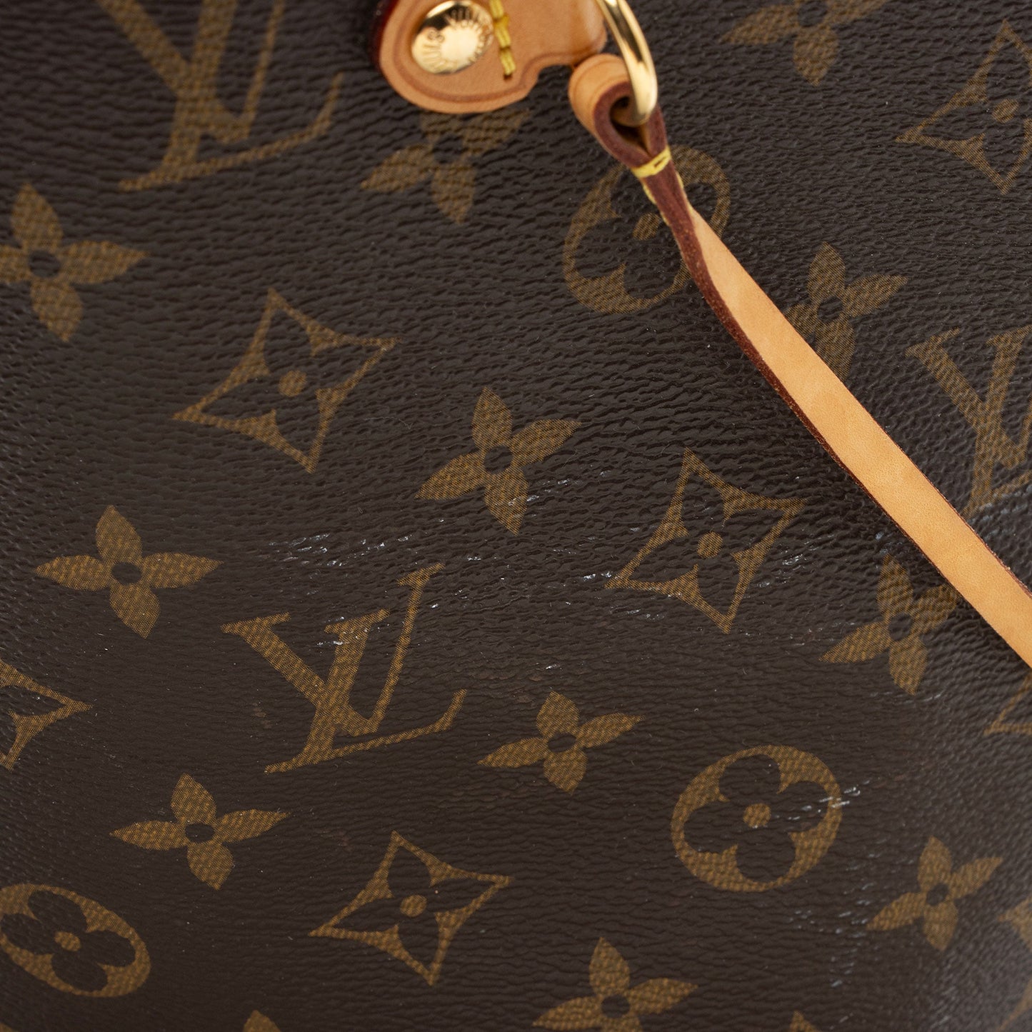Louis Vuitton Monogram Canvas Neverfull GM Tote
