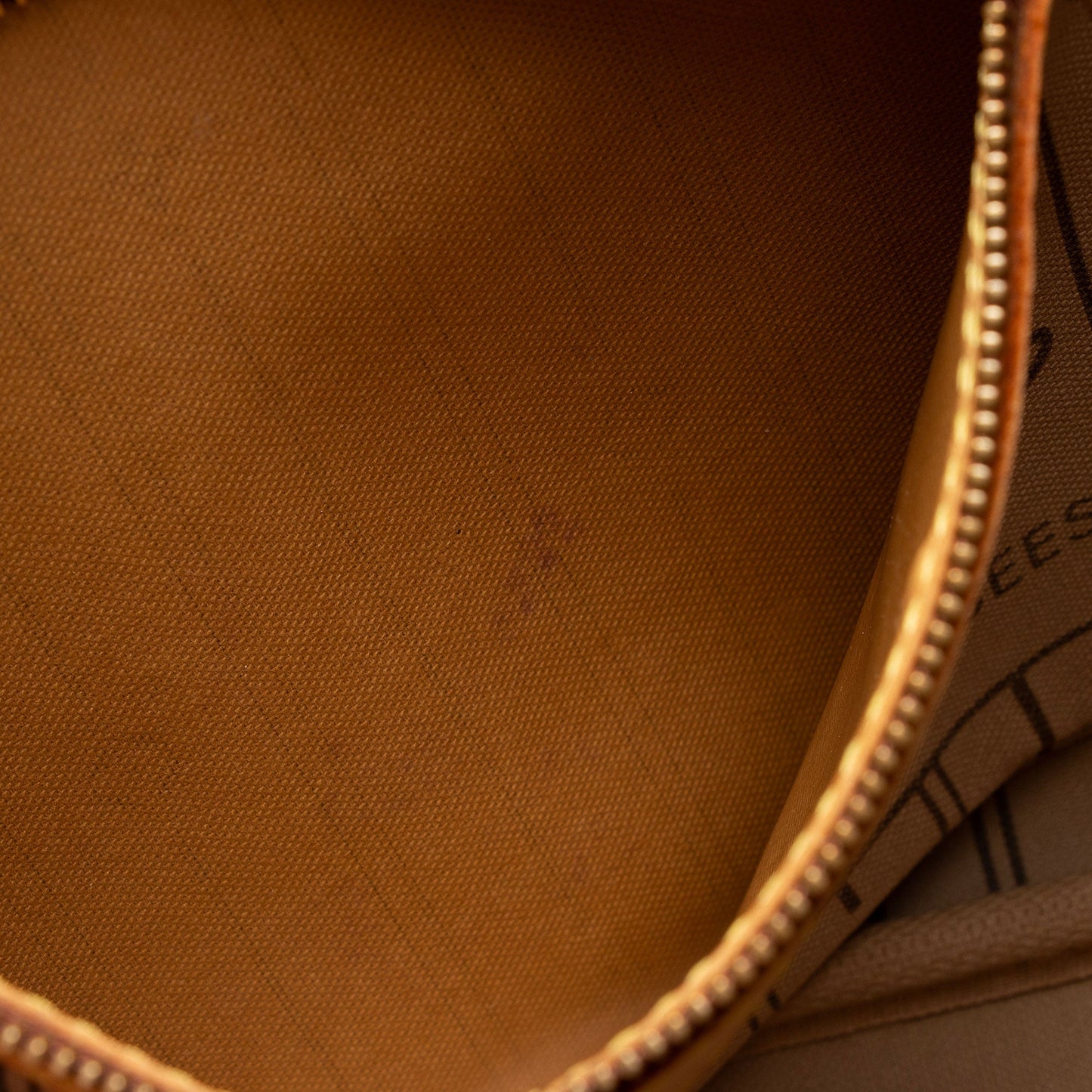 Louis Vuitton Monogram Canvas Neverfull PM Tote (SHF-DmVsmU)