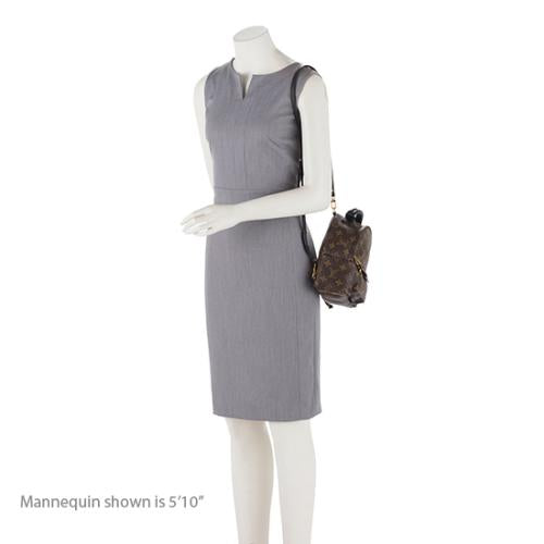 Louis Vuitton Monogram Canvas Palm Springs Mini Backpack -  (SHF-19831)