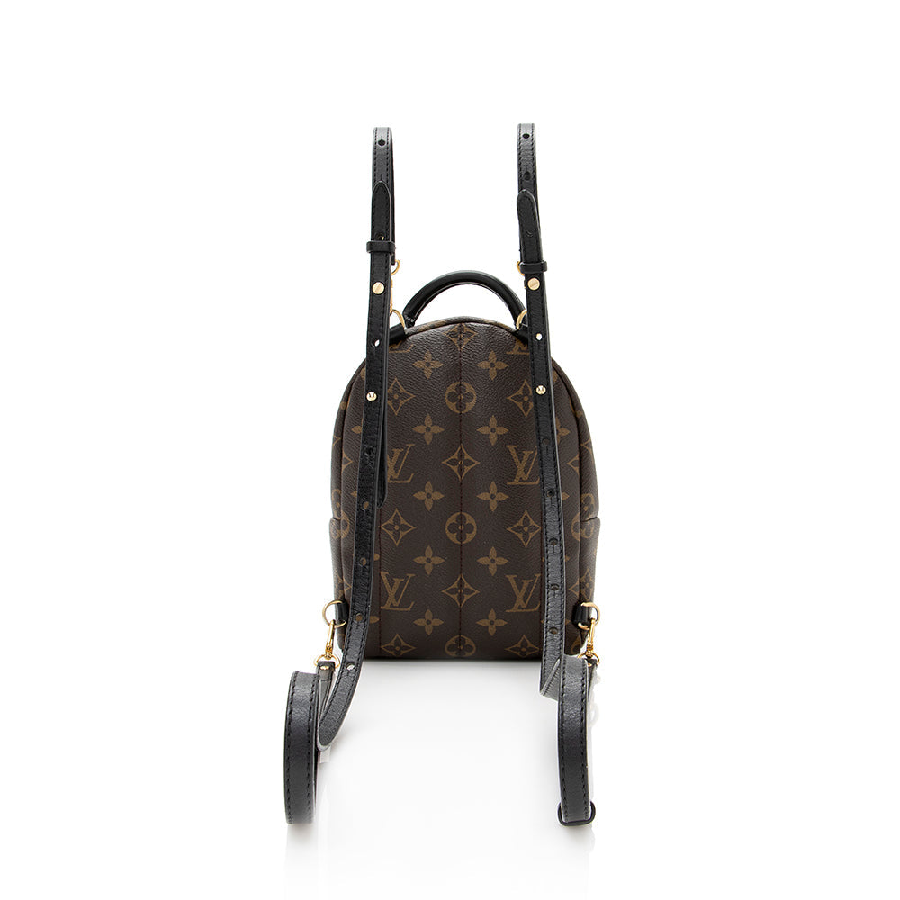 Louis Vuitton Monogram Canvas Palm Springs Mini Backpack -  (SHF-21047)