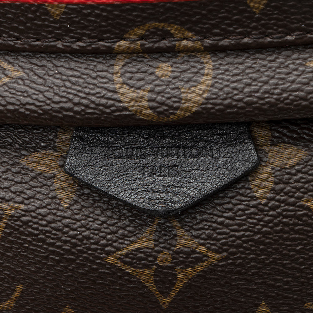 Louis Vuitton Monogram Canvas Palm Springs Mini Backpack -  (SHF-21047)