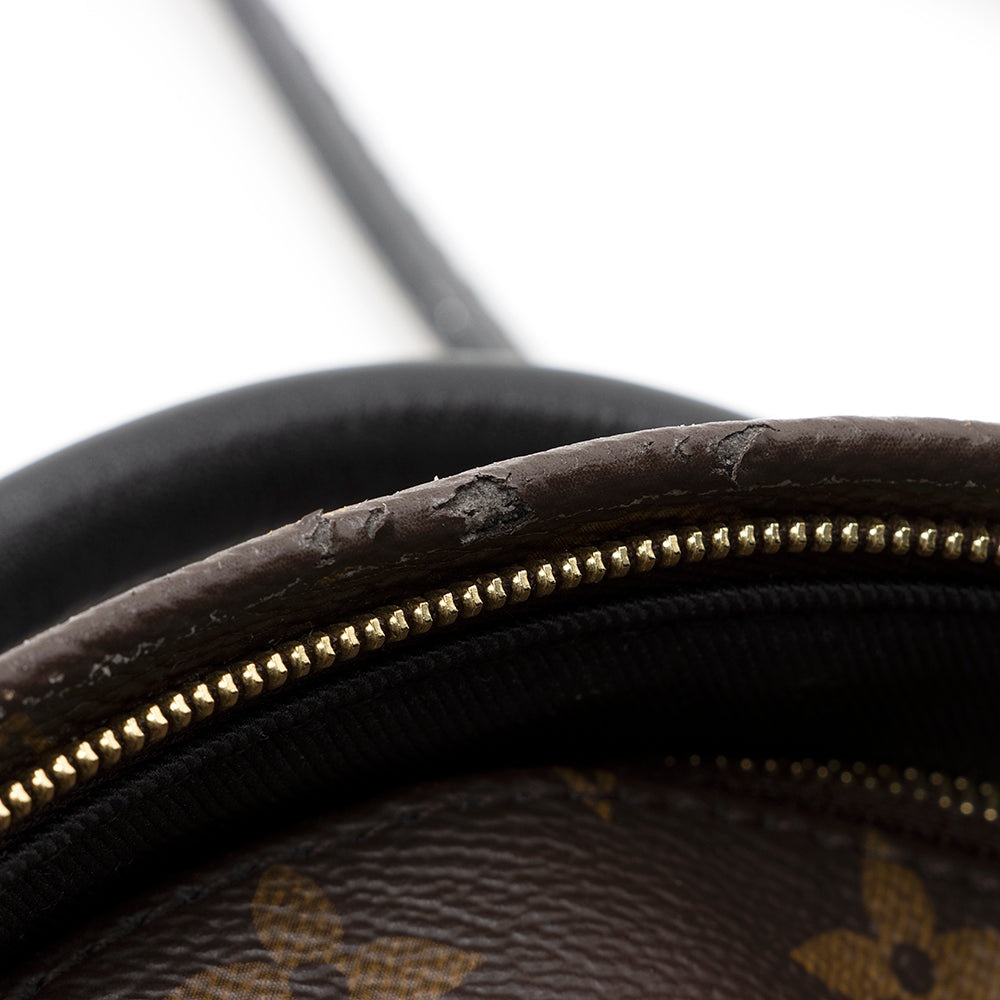 Louis Vuitton Monogram Canvas Palm Springs Mini Backpack (SHF-20573)