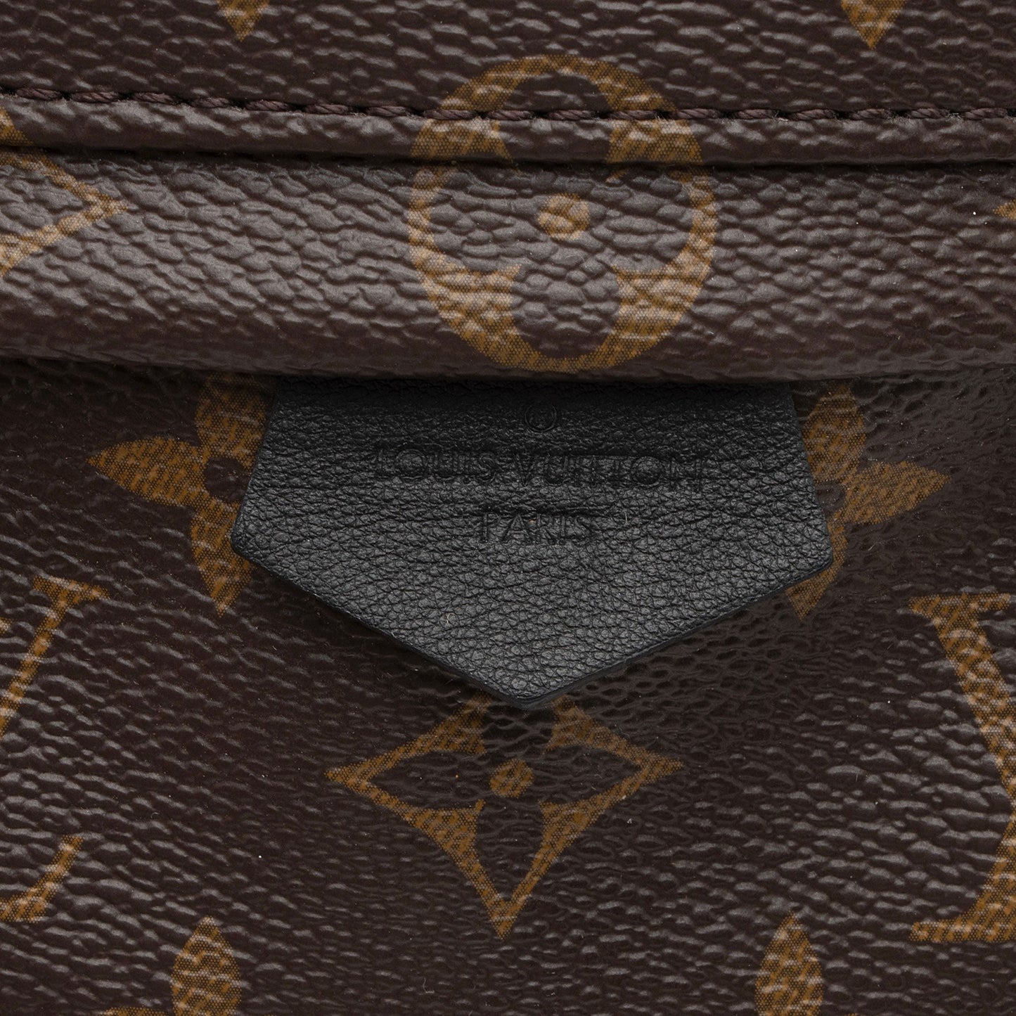 Louis Vuitton Monogram Canvas Palm Springs Mini Backpack (SHF-KGaJrl)