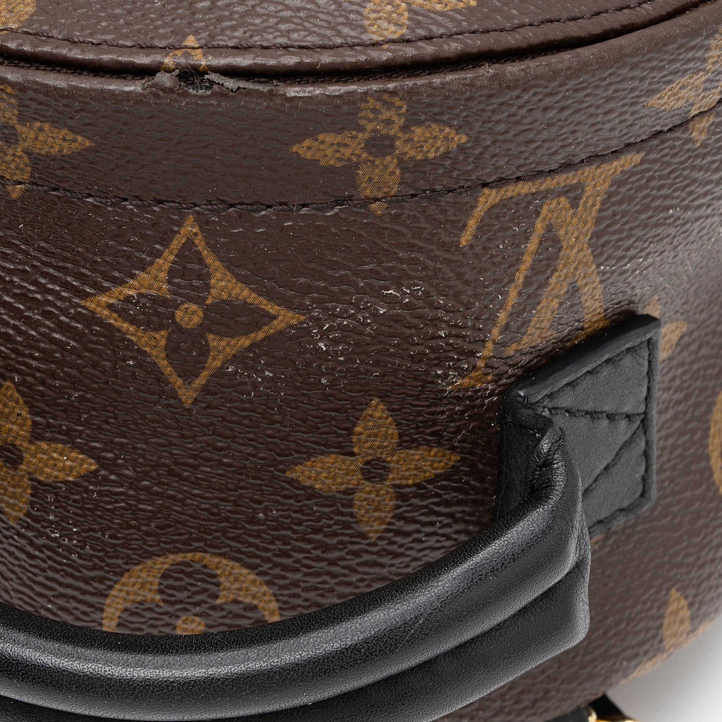 Louis Vuitton Monogram Canvas Palm Springs Mini Backpack (SHF-2EWGEF)