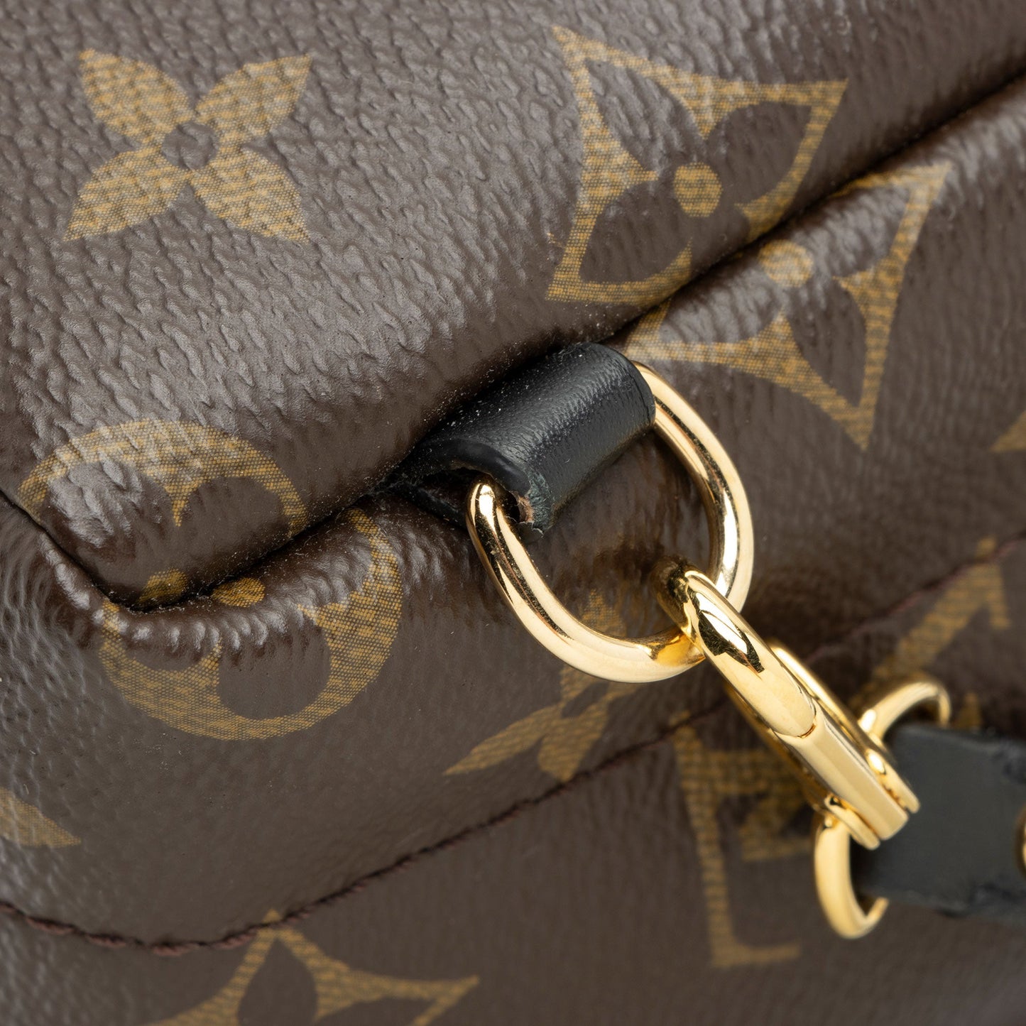 Louis Vuitton Monogram Canvas Palm Springs Mini Backpack (SHF-yT17ls)