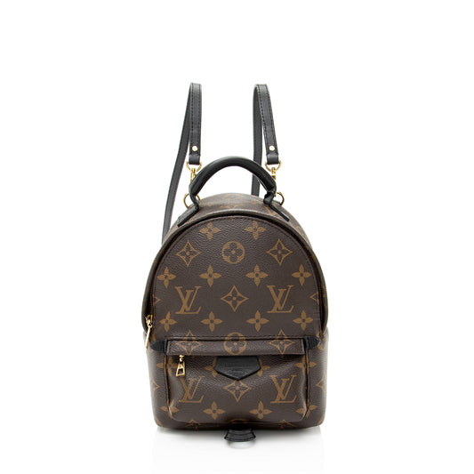 Louis Vuitton Monogram Canvas Palm Springs Mini Backpack