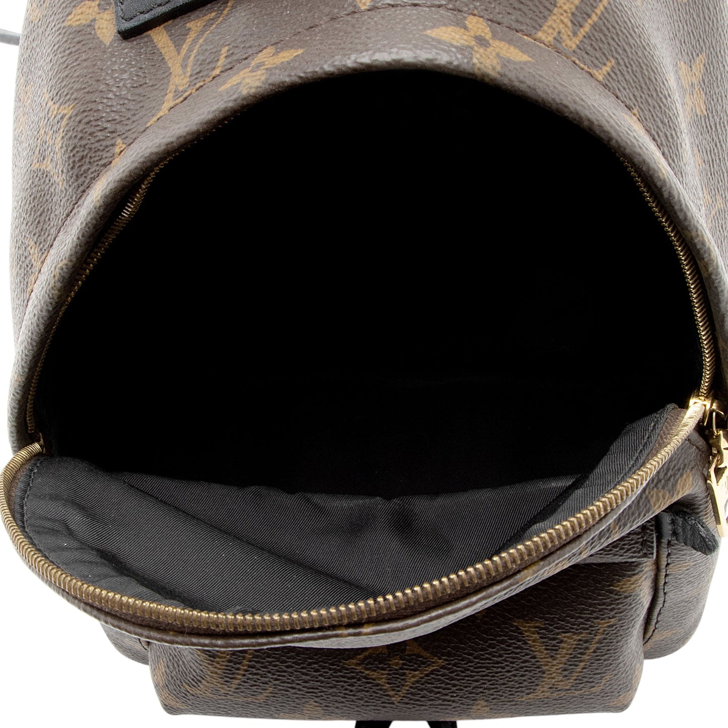 Louis Vuitton Monogram Canvas Palm Springs Mini Backpack