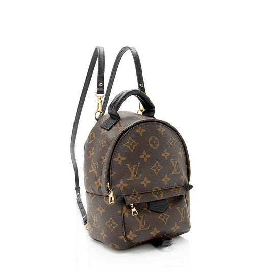 Louis Vuitton Monogram Canvas Palm Springs Mini Backpack