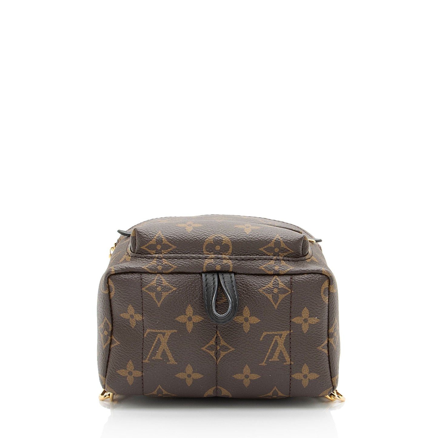 Louis Vuitton Monogram Canvas Palm Springs Mini Backpack