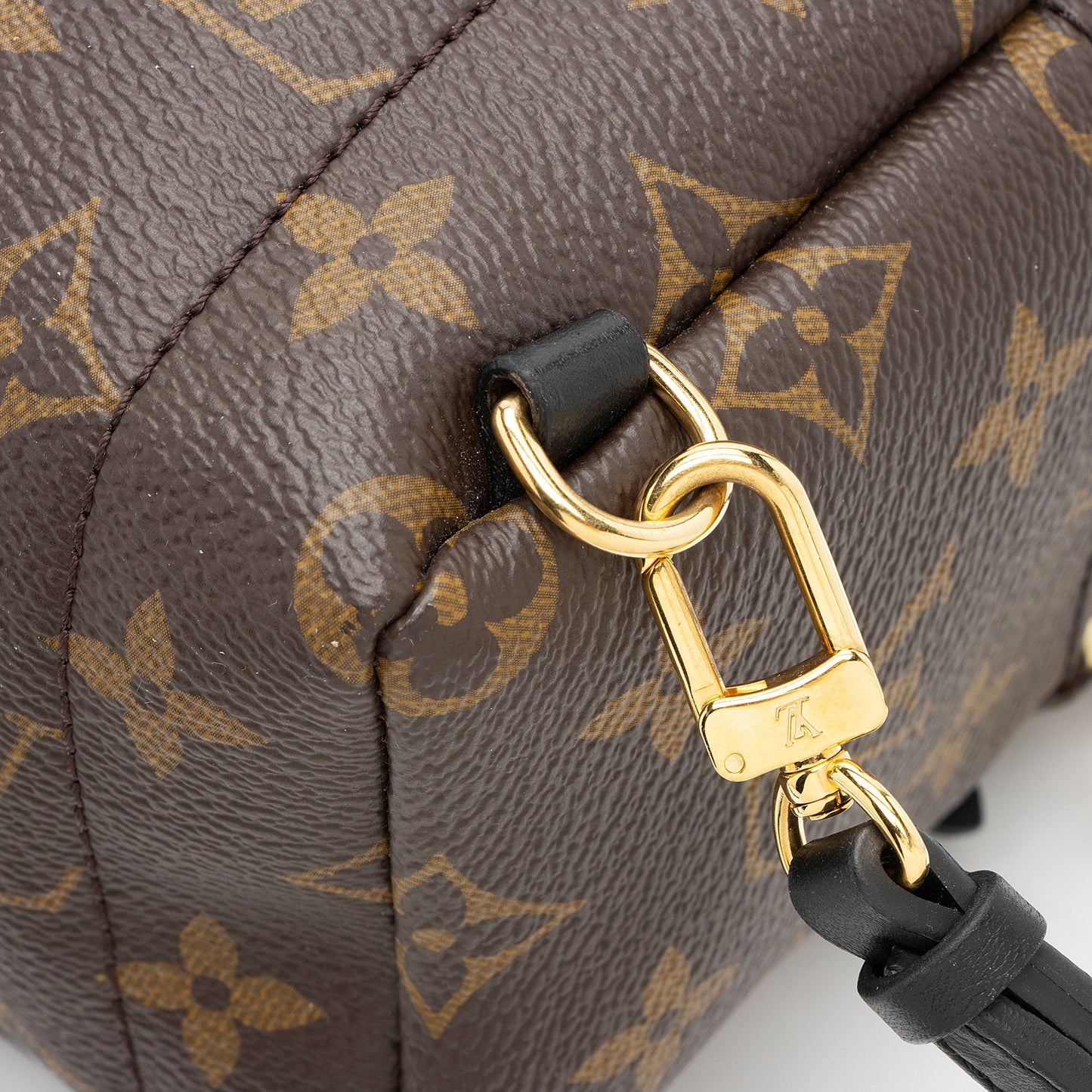 Louis Vuitton Monogram Canvas Palm Springs Mini Backpack