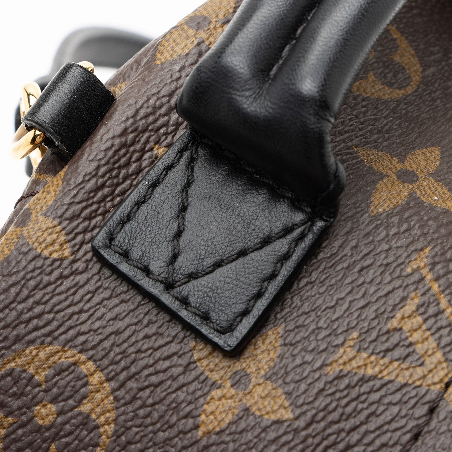 Louis Vuitton Monogram Canvas Palm Springs Mini Backpack