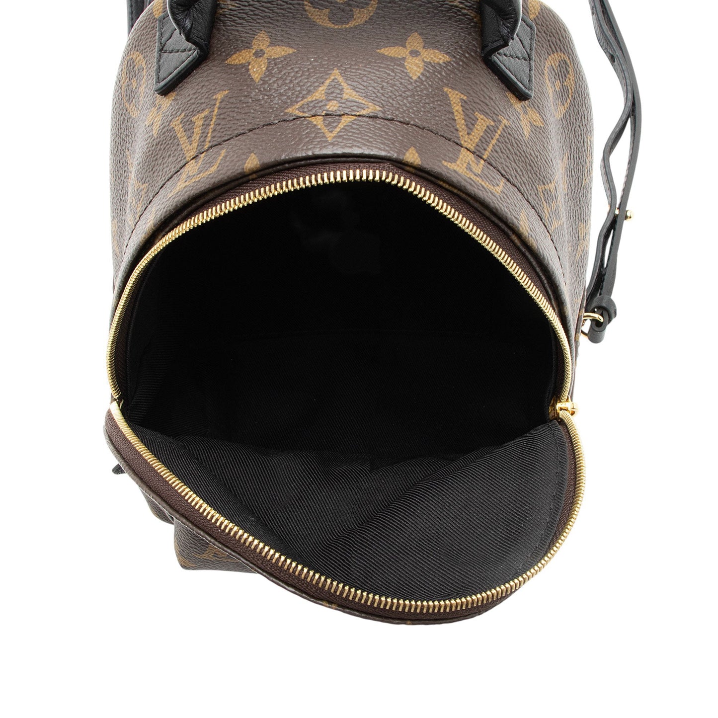 Louis Vuitton Monogram Canvas Palm Springs Mini Backpack